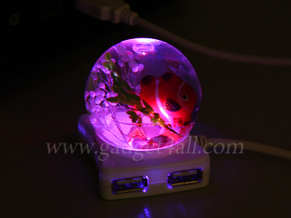 Illustration for article titled Find Nemo Floating in a Four-Way USB Hub. Verdict: Fishy!